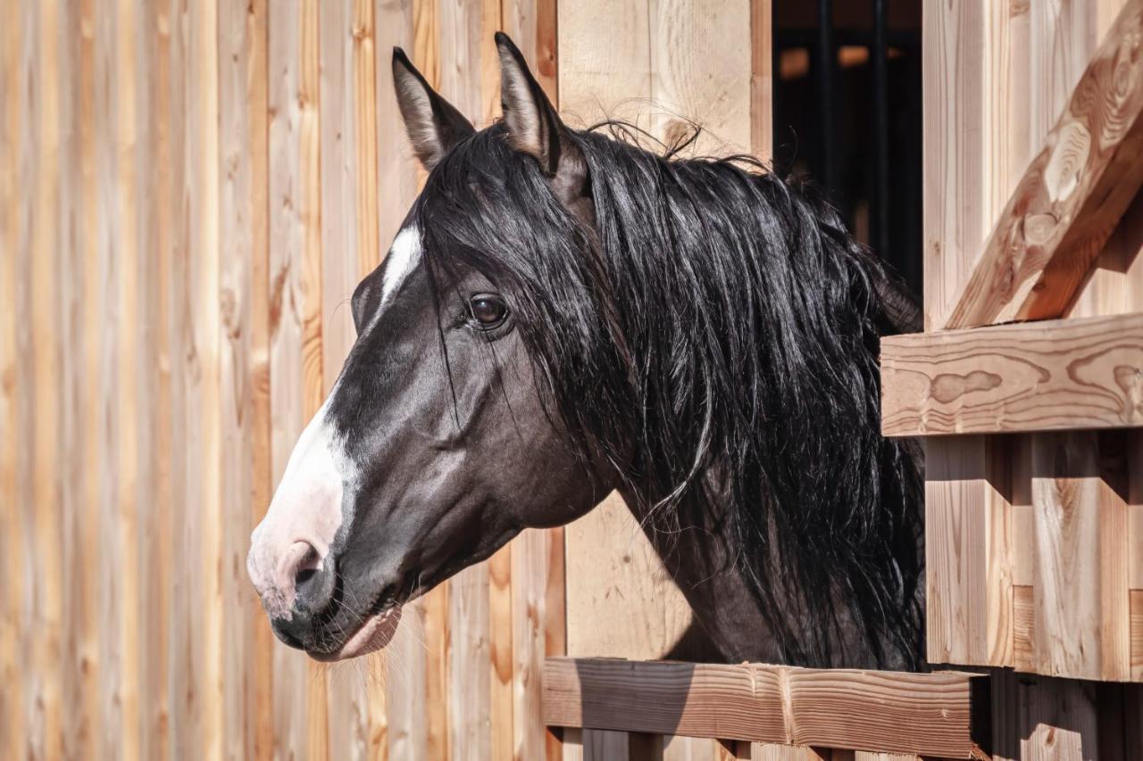 Ranchhouse Bubble - Westernstable - Horse Elterlein Zewnętrze zdjęcie